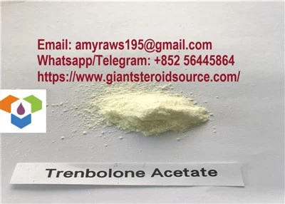 99 procent renhed rå steroid pulver trenbolonacetat til bodybuilding 10161-34-9