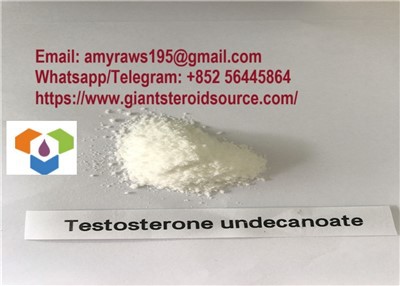 Anabolsk pulver testosteron undecanoat CAS: 5949-44-0 med god pris