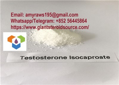 Testosteron Isocaproate