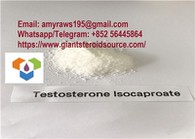 Testosteron Isocaproate
