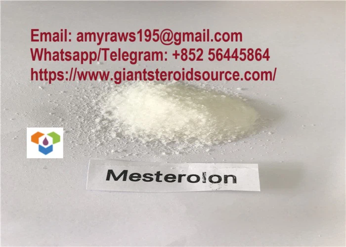 Testosterone Raw Steroid Mesterolone / Proviron CAS 1424-00-6 For Muscle Gaining