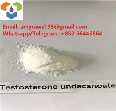 Raws Powder Testosteron Undecanoat